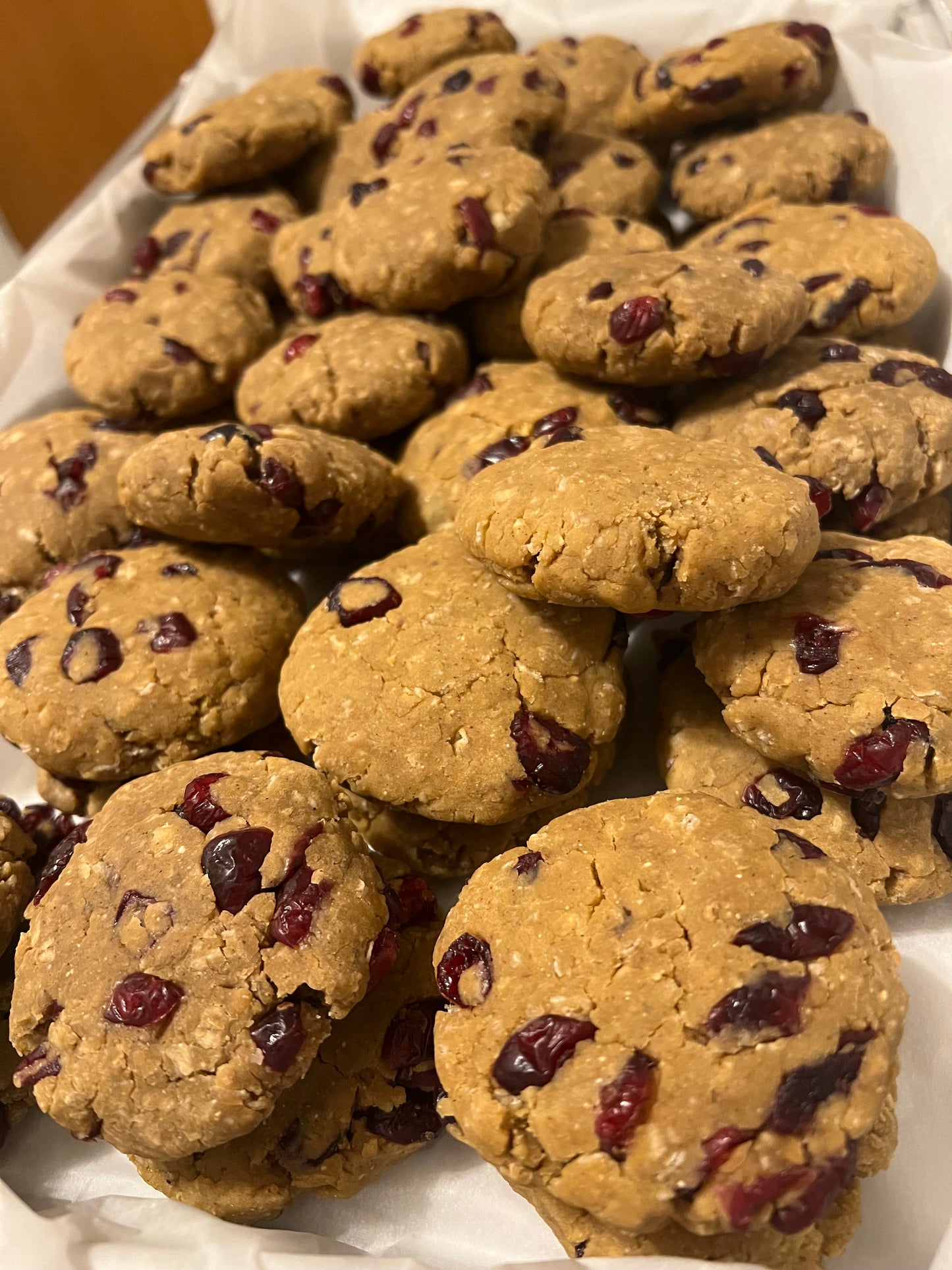 COOKIES: Oatmeal Cranberry PROTEIN🍪(GF) (NF) (DF)