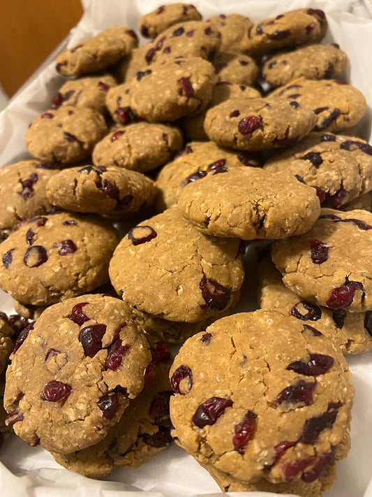 COOKIES: Oatmeal Cranberry PROTEIN🍪(GF) (NF) (DF)